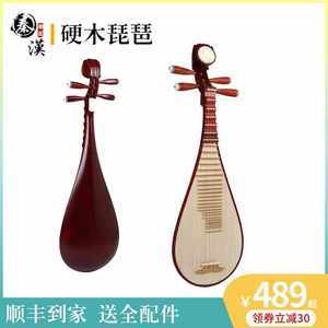 762組琵琶民族樂(lè)器圖片賞析 傳統(tǒng)與創(chuàng)新的完美交融